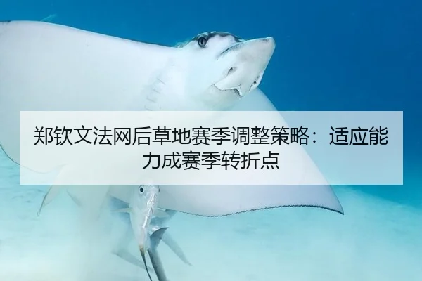 郑钦文法网后草地赛季调整策略：适应能力成赛季转折点
